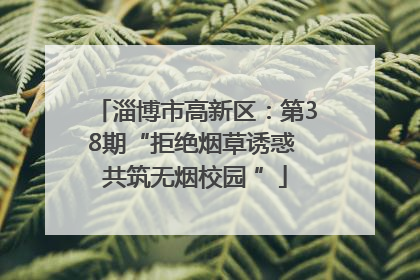 淄博市高新区：第38期“拒绝烟草诱惑 共筑无烟校园 ”