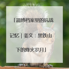 淄博档案里的抗战记忆｜姜文：黑铁山下的烽火岁月
