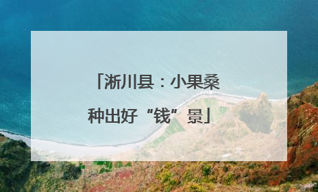 淅川县：小果桑种出好“钱”景