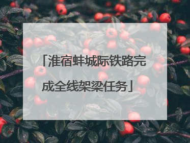 淮宿蚌城际铁路完成全线架梁任务