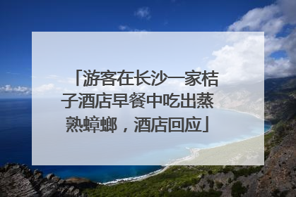 游客在长沙一家桔子酒店早餐中吃出蒸熟蟑螂，酒店回应