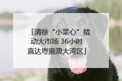 清徐“小菜心”撬动大市场 36小时直达粤港澳大湾区