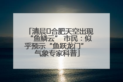 清晨﻿合肥天空出现“鱼鳞云” 市民：似乎预示“鱼跃龙门” 气象专家科普