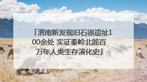 渭南新发现旧石器遗址100余处 实证秦岭北麓百万年人类生存演化史