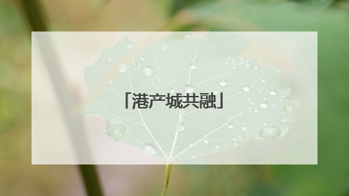 港产城共融