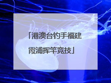港澳台钓手福建霞浦挥竿竞技