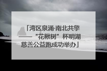 湾区泉涌·南北共擎——“花楸树”杯明湖慈善公益跑成功举办