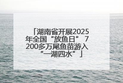 湖南省开展2025年全国“放鱼日” 7200多万尾鱼苗游入“一湖四水”