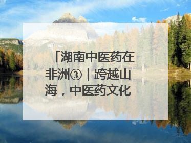 湖南中医药在非洲③｜跨越山海，中医药文化浸润非洲