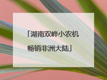 湖南双峰小农机畅销非洲大陆