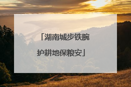 湖南城步铁腕护耕地保粮安