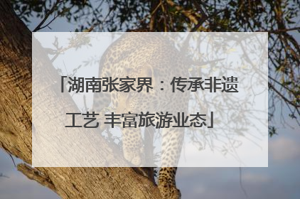 湖南张家界：传承非遗工艺 丰富旅游业态