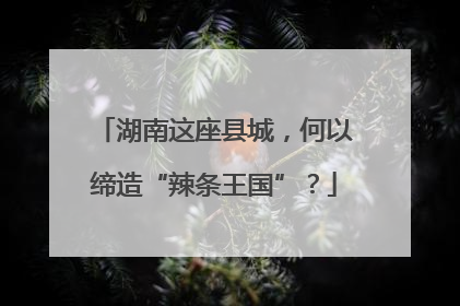 湖南这座县城，何以缔造“辣条王国”？