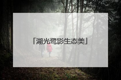湖光鹭影生态美