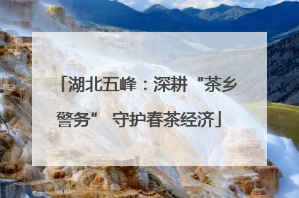 湖北五峰：深耕“茶乡警务” 守护春茶经济