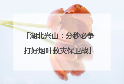 湖北兴山：分秒必争 打好烟叶救灾保卫战