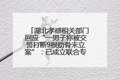 湖北孝感相关部门回应“一男子称被交警打断9根肋骨未立案”：已成立联合专班开展工作