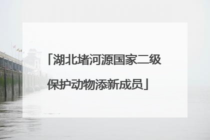 湖北堵河源国家二级保护动物添新成员