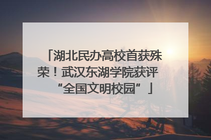 湖北民办高校首获殊荣！武汉东湖学院获评“全国文明校园”