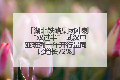 湖北铁路集团冲刺“双过半” 武汉中亚班列一年开行量同比增长72%