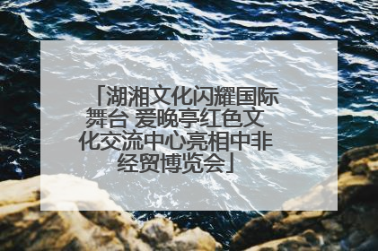 湖湘文化闪耀国际舞台 爱晚亭红色文化交流中心亮相中非经贸博览会