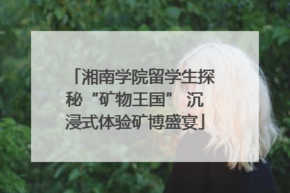 湘南学院留学生探秘“矿物王国” 沉浸式体验矿博盛宴
