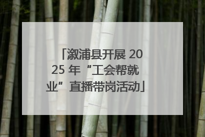 溆浦县开展 2025 年“工会帮就业”直播带岗活动