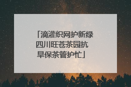 滴灌织网护新绿 四川旺苍茶园抗旱保茶管护忙