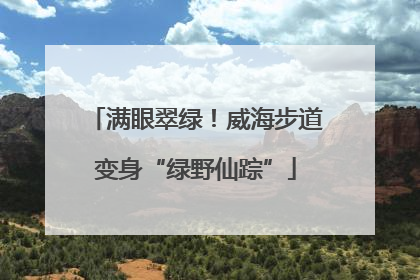 满眼翠绿！威海步道变身“绿野仙踪”