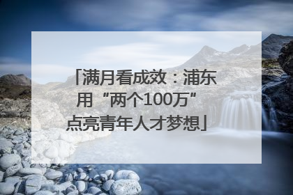 满月看成效：浦东用“两个100万”点亮青年人才梦想