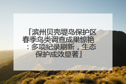 滨州贝壳堤岛保护区春季鸟类调查成果惊艳：多项纪录刷新，生态保护成效显著