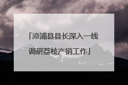 漳浦县县长深入一线调研荔枝产销工作