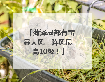 菏泽局部有雷暴大风，阵风最高10级！