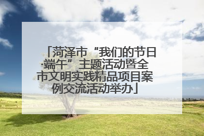 菏泽市“我们的节日·端午”主题活动暨全市文明实践精品项目案例交流活动举办