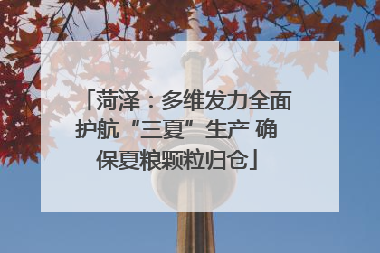 菏泽：多维发力全面护航“三夏”生产 确保夏粮颗粒归仓