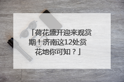 荷花盛开迎来观赏期！济南这12处赏花地你可知？