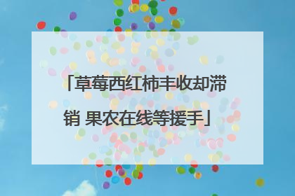 草莓西红柿丰收却滞销 果农在线等援手