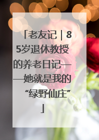 老友记｜85岁退休教授的养老日记——她就是我的“绿野仙庄”