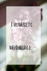 老城复兴 城南崛起