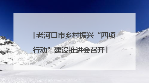老河口市乡村振兴“四项行动”建设推进会召开