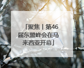聚焦丨第46届东盟峰会在马来西亚开幕