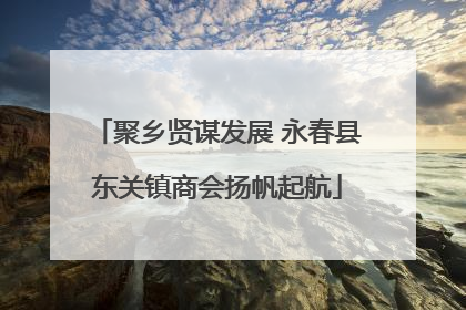 聚乡贤谋发展 永春县东关镇商会扬帆起航