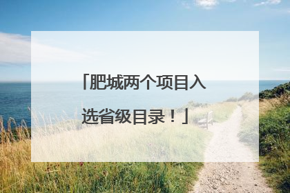 肥城两个项目入选省级目录！