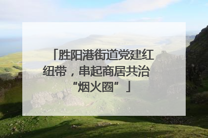 胜阳港街道党建红纽带，串起商居共治 “烟火圈”