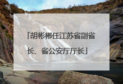 胡彬郴任江苏省副省长、省公安厅厅长