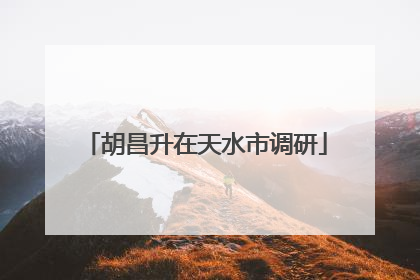 胡昌升在天水市调研