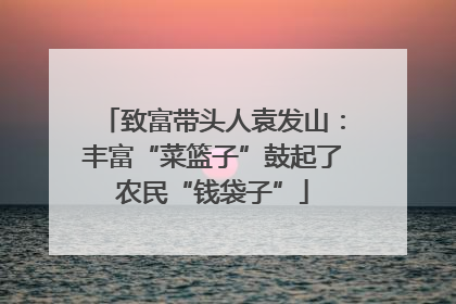 致富带头人袁发山：丰富“菜篮子”鼓起了农民“钱袋子”