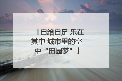 自给自足 乐在其中 城市里的空中“田园梦”