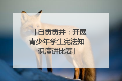 自贡贡井：开展青少年学生宪法知识演讲比赛
