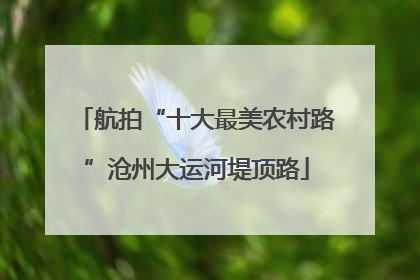 航拍“十大最美农村路”沧州大运河堤顶路